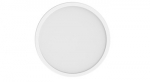Smart Ceiling Light D20