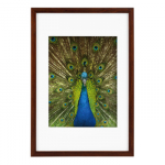 Rėmelis GB 900715 Pino mahagoni 20x30/15x20| medinis
