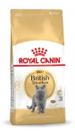 Royal Canin British Shorthair Adult sausas kačių maistas 4 kg Suaugusių