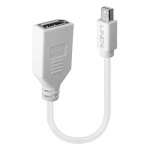 Adapteris - LINDY Mini-DP į DP Adapteris, M/F, 20 cm, Baltas