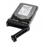 SERVER HDD 12TB 7.2K NLSAS/3.5'' 14GEN 161-BCJX DELL