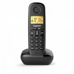 Cordless phone Basic 100