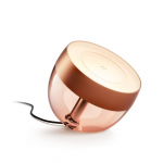 Philips Hue Iris Special Edition, vario spalvos - I&scaron;manioji lemputė