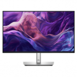 Dell P2425H, 24'', IPS, 100 Hz, sidabro spalvos - Monitorius