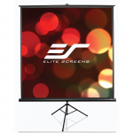 Elite Screens T99NWS1