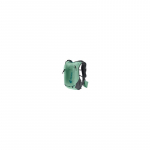 Ascender 7 spearmint