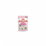 Royal Canin FHN Kitten Instinctive in sauce - wet food for kittens - 12x85g