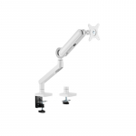 Equip 17"-35" Premium Monitor Desk Mount Bracket, White