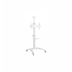 TV SET ACC FLOOR STAND 37-70"/WHITE TVS-70T-02-W GEMBIRD
