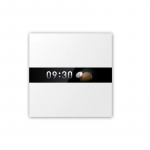 SMART HOME DISPLAY SWITCH V1/WS-K02D AQARA