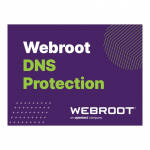 Webroot | DNS Protection with GSM Console | 2 year(s) | License quantity 1-9 user(s)