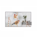 LG | Digital Signage | 55EW5P | 55 " | Landscape/Portrait | 18/7 | webOS | 8 ms | 178 &deg; | Transparent | 178 &deg; | 600 cd/m&sup2;