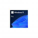 Microsoft Windows 11 Pro OEM