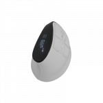 Natec Mouse | Euphonie Pro | Wireless | 2.4 GHz, Bluetooth | White