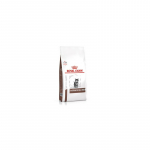 ROYAL CANIN Gastrointestinal Kitten - dry food for kittens -2 kg