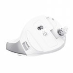 Trust Bayo II - Ergonomic Wireless Mouse (white)