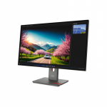 Lenovo ThinkVision P32UD-40 | 32 " | IPS | UHD | 16:9 | 120 Hz | 4 ms | 3840 x 2160 pixels | 350 cd/m&sup2; | Black