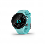 Garmin Forerunner 55 2.64 cm (1.04") MIP 42 mm Digital 208 x 208 pixels GPS (satellite)
