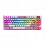 MSI FORGE GK600 TKL WIRELESS VIOLET | Gaming keyboard | Wireless | US | 2.4 GHz Wireless, Bluetooth, USB 2.0 | Mechanical Linear