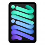 Apple iPad mini 5G TD-LTE & FDD-LTE 512 GB 21.1 cm (8.3") Wi-Fi 6E (802.11ax) iPadOS 18 Grey