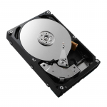 DELL 161-BCFV internal hard drive 2.4 TB 10000 RPM 2.5" SAS
