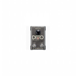 TC Helicon Ditto Mic Looper Looper mikrofonowy