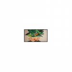 Philips 43BDL4511D/00 Signage Display Digital A-board 109.2 cm (43") 500 cd/m&sup2; 4K Ultra HD Black 24/7