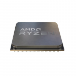 AMD Ryzen 5 5500 processor 3.6 GHz 16 MB L3 Tray