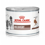 ROYAL CANIN Recovery - Wet dog and cat food - 195g