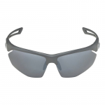 Alpina Nylos HR Sunglasses cat. 3 Grey