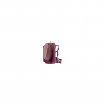 AC Lite 21 SL ashrose-cassis | universal backpack