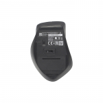 Asus Mouse | WT425 | Wireless | Mist blue