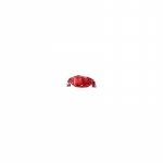 Pulse 5 cherry-masala | uniwersalny