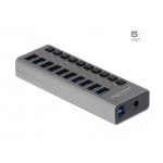 DeLOCK External 5 Gbps USB Hub with 10 Ports + Switch