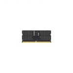 Lexar | 32 GB | DDR5 | 5600 MHz | Notebook | ECC Yes