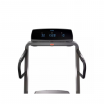Horizon Fitness Omega Z-02 Folding electric treadmill Graphite