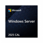 Microsoft Windows Server CAL 2022 Client Access License (CAL) 1 license(s)