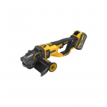 DeWALT DCG460X2-QW floor polisher/sander