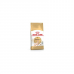 Royal Canin Sphynx dry cat food 2 kg