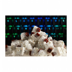 Glorious PC Gaming Race KAI-BROWN input device accessory Keyboard switches