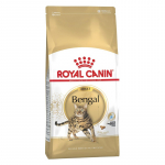 ROYAL CANIN FBN Bengal Adult - dry cat food - 10kg
