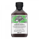 &Scaron;ampūnas Davines NaturalTech Renewing, 250 ml