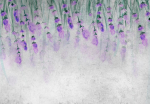 Fototapetas Artgeist Lavender Breath, 70 cm x 100 cm