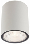 &Scaron;viestuvas lubų Nowodvorski Edesa 9108, LED, 3000 &deg;K, 1 x 6 W, skaidri sp.