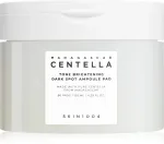Veido &scaron;veičiamasis diskelis Skin1004 Madagascar Centella Tone Brightening Dark Spot, 130 ml