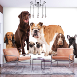 Fototapetas Artgeist Animal Portrait - Dogs With A Brown Labrador In The Centre On A White Background, 280 cm x 400 cm