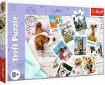 Dėlionė Trefl Dogs Holiday Pictures 30031, 60 cm x 40 cm, 300 vnt., įvairių spalvų
