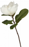 Dirbtinė gėlė Homla Hiya, balta/žalia, 70 cm