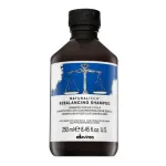 &Scaron;ampūnas Davines NaturalTech Rebalancing, 250 ml