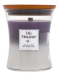 Žvakė, aromatinė WoodWick Amethyst Sky Trilogy, 65 h, 275 g, Balta sp./Violetinė sp.